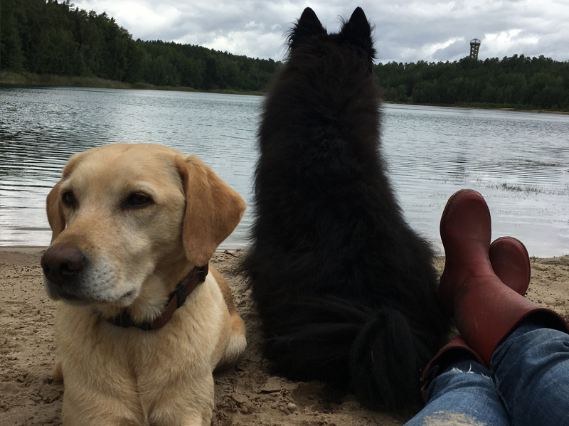 Meine Angebote – Mit Hund und Seele
